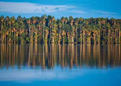 Pandémie et anthropocène